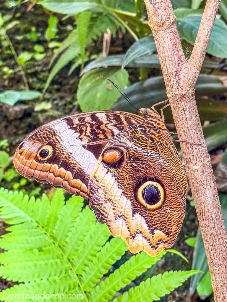 San José de Costa Rica.