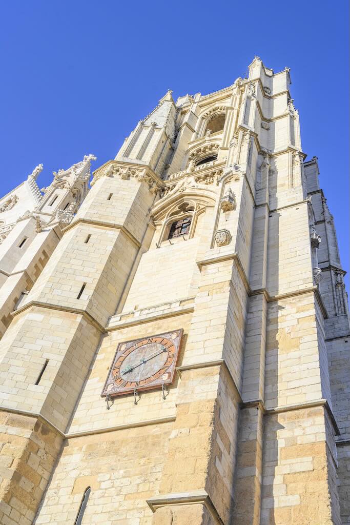 León.