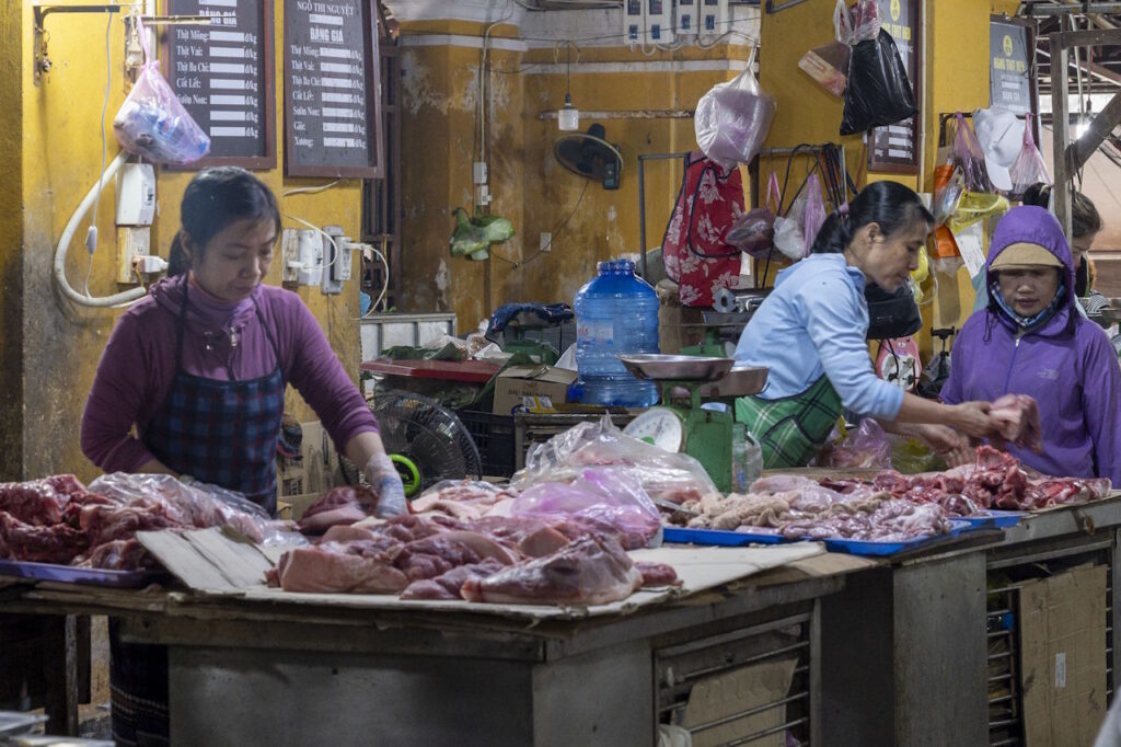 Mercado Central de Hoi An. Puesto de carnes
