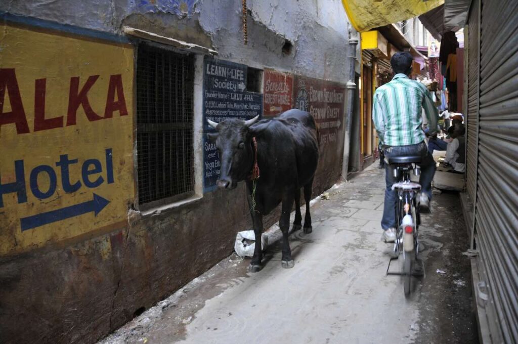 Varanasi.