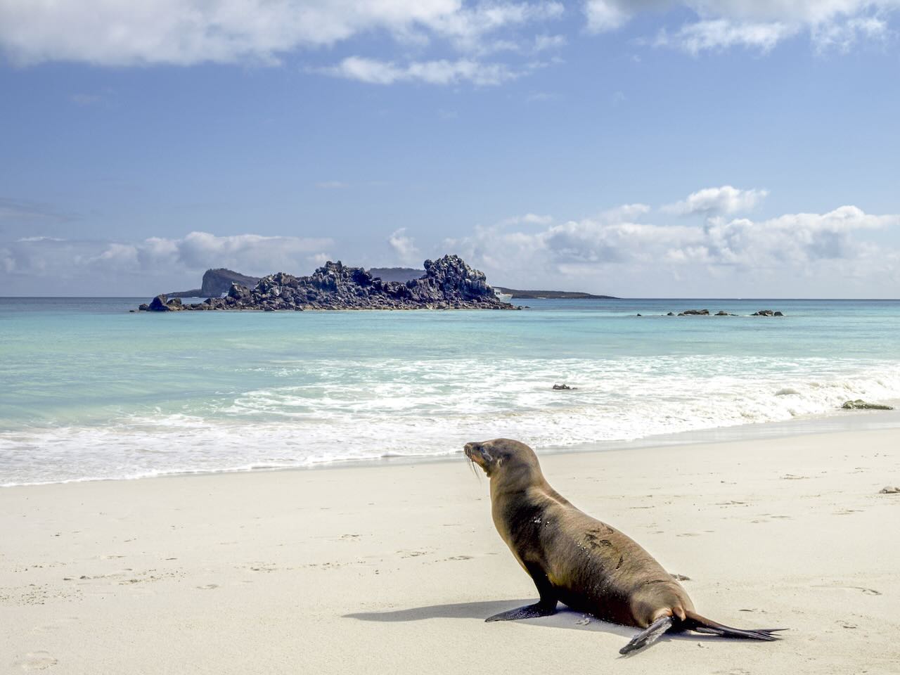 Islas Galápagos