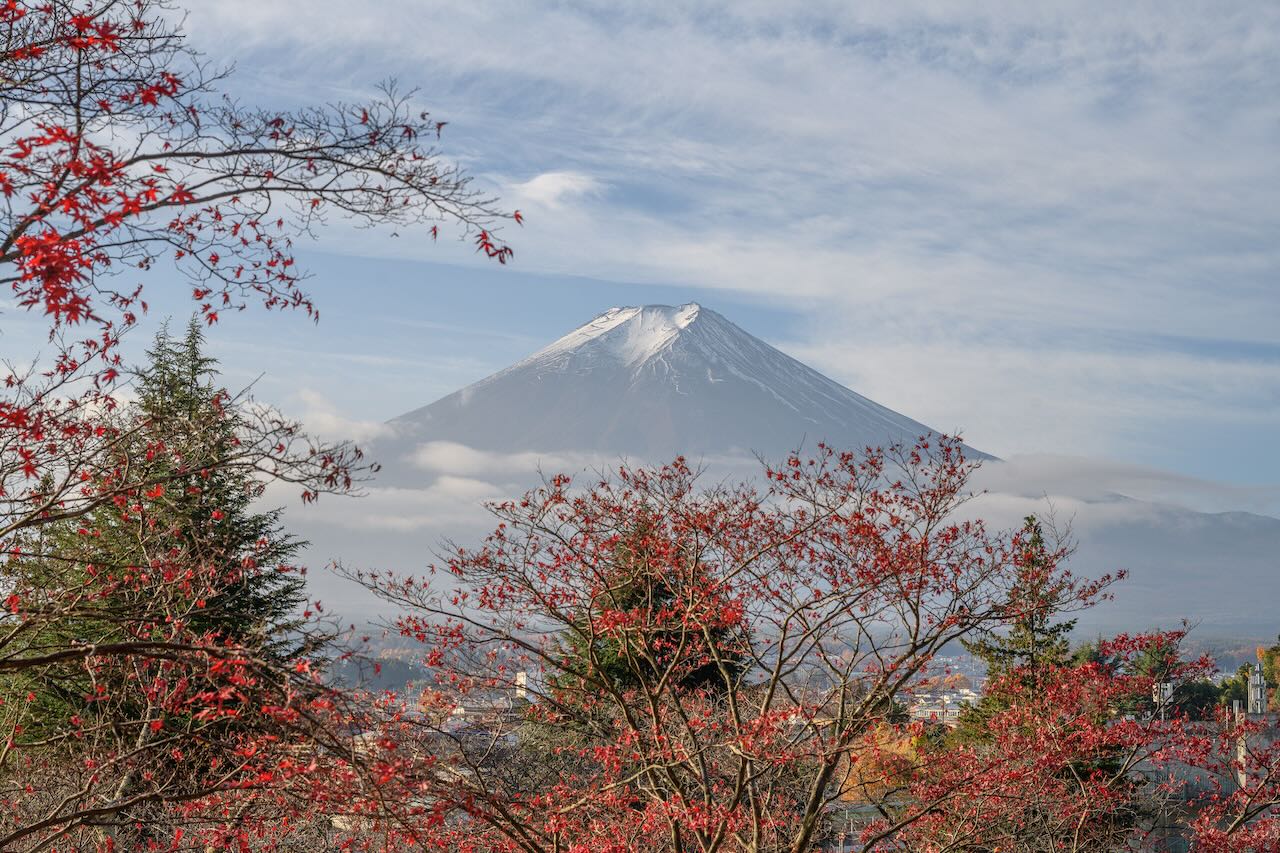 Japón