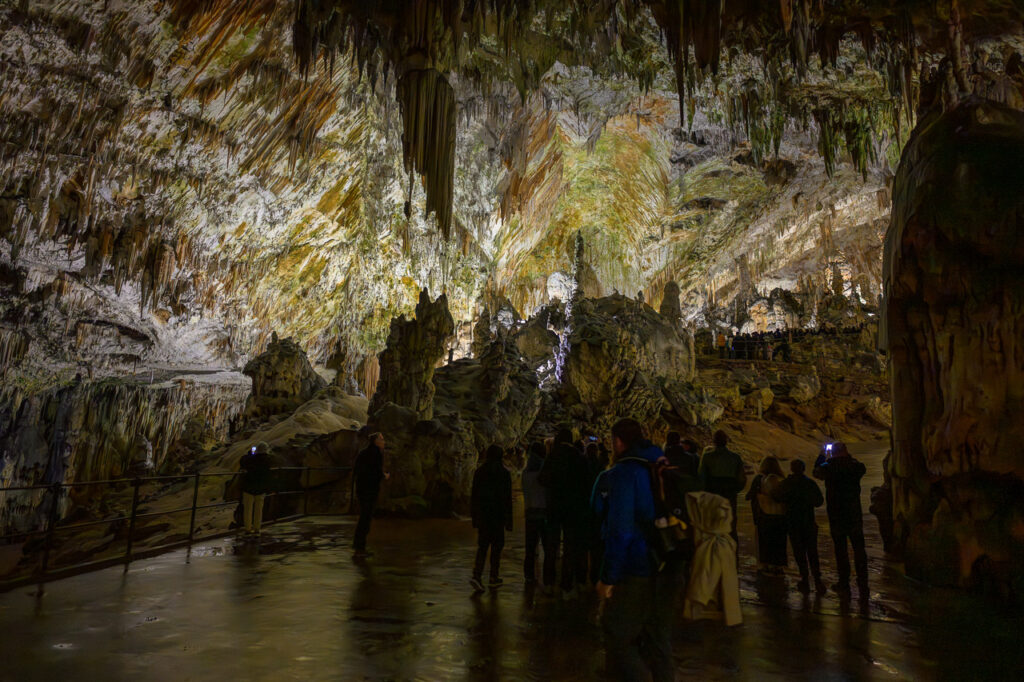 Cuevas de Postojna