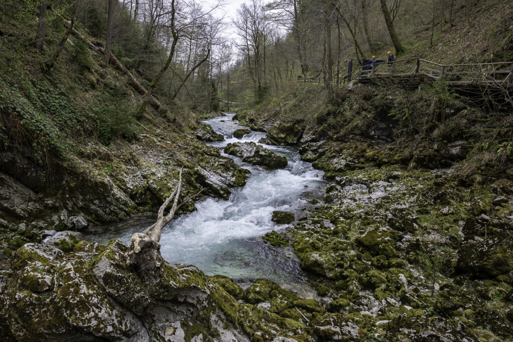 Pequeñas mini cascadas en la garganta de Vintgar.